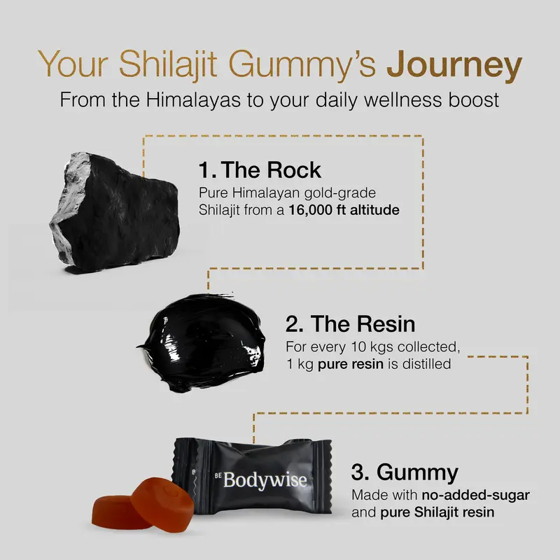 Gomitas de Shilajit puro del Himalaya de Be Bodywise (Root Labs) | Edición «Año nuevo, vida nueva» | 3000 mg con Ashwagandha KSM-66, Gokshura, azafrán y Black Musli | Ácido fúlvico y más de 85 oligoelementos | Sin azúcar añadido | Apoyo natural para la fu