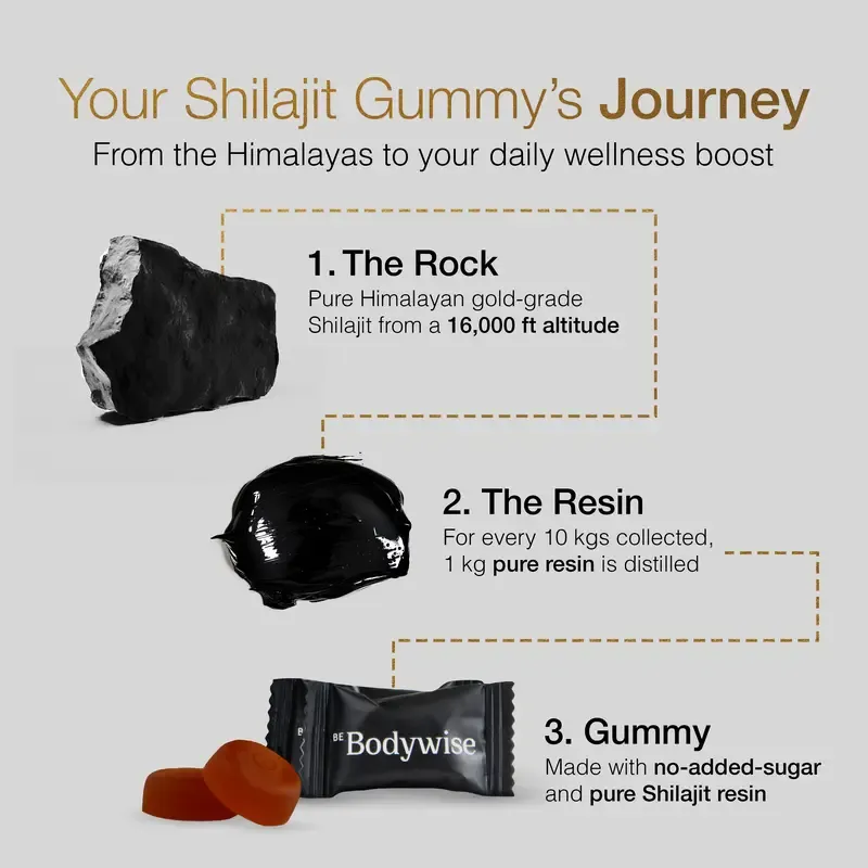 Gomitas de Shilajit puro del Himalaya de Be Bodywise (Root Labs) | Edición «Año nuevo, vida nueva» | 3000 mg con Ashwagandha KSM-66, Gokshura, azafrán y Black Musli | Ácido fúlvico y más de 85 oligoelementos | Sin azúcar añadido | Apoyo natural para la fu