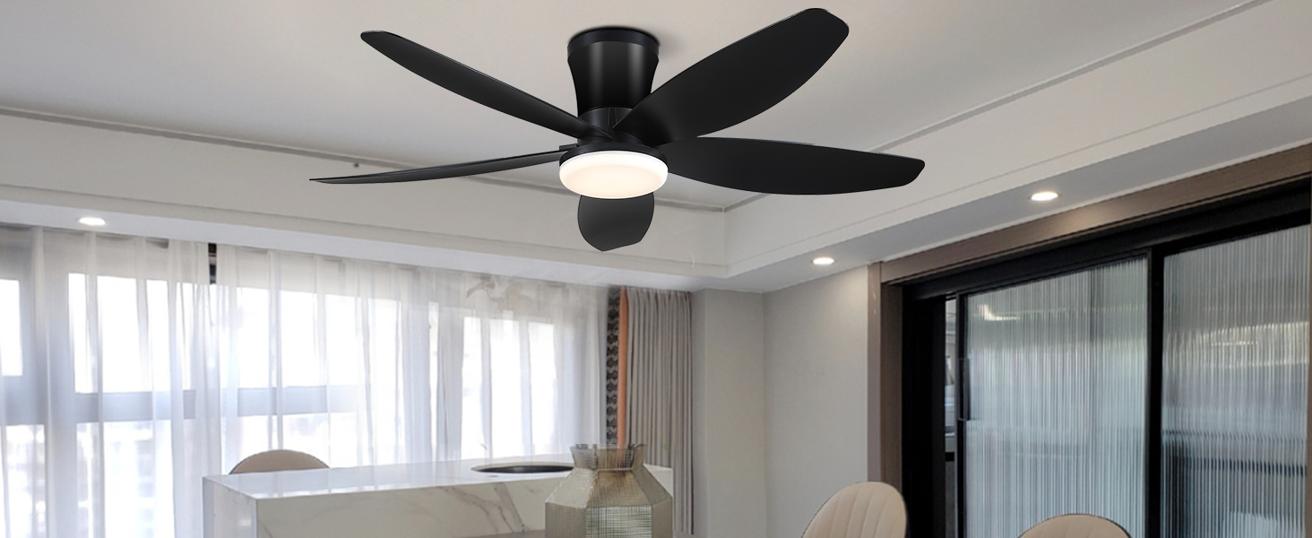 ceiling fan
