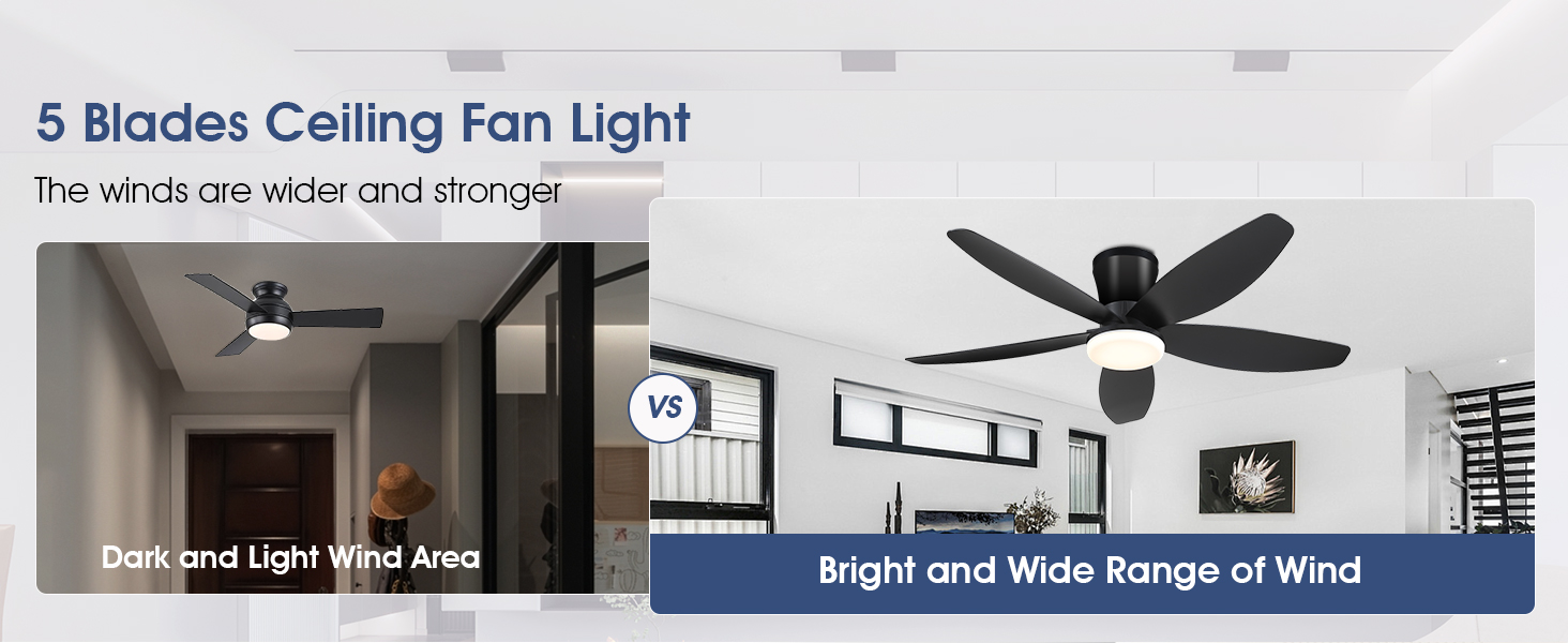 ceiling fan