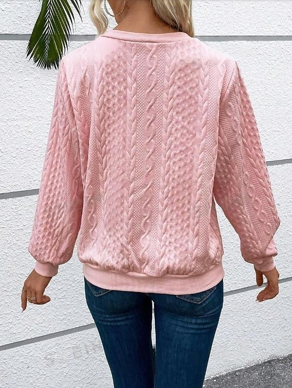 Women's Sweatshirt Elegant Modern Plain Work Crew Neck Zipper Loose Fit Long Sleeve Black White Pink Gray Spring Fall 2026 - $11.99 –P6