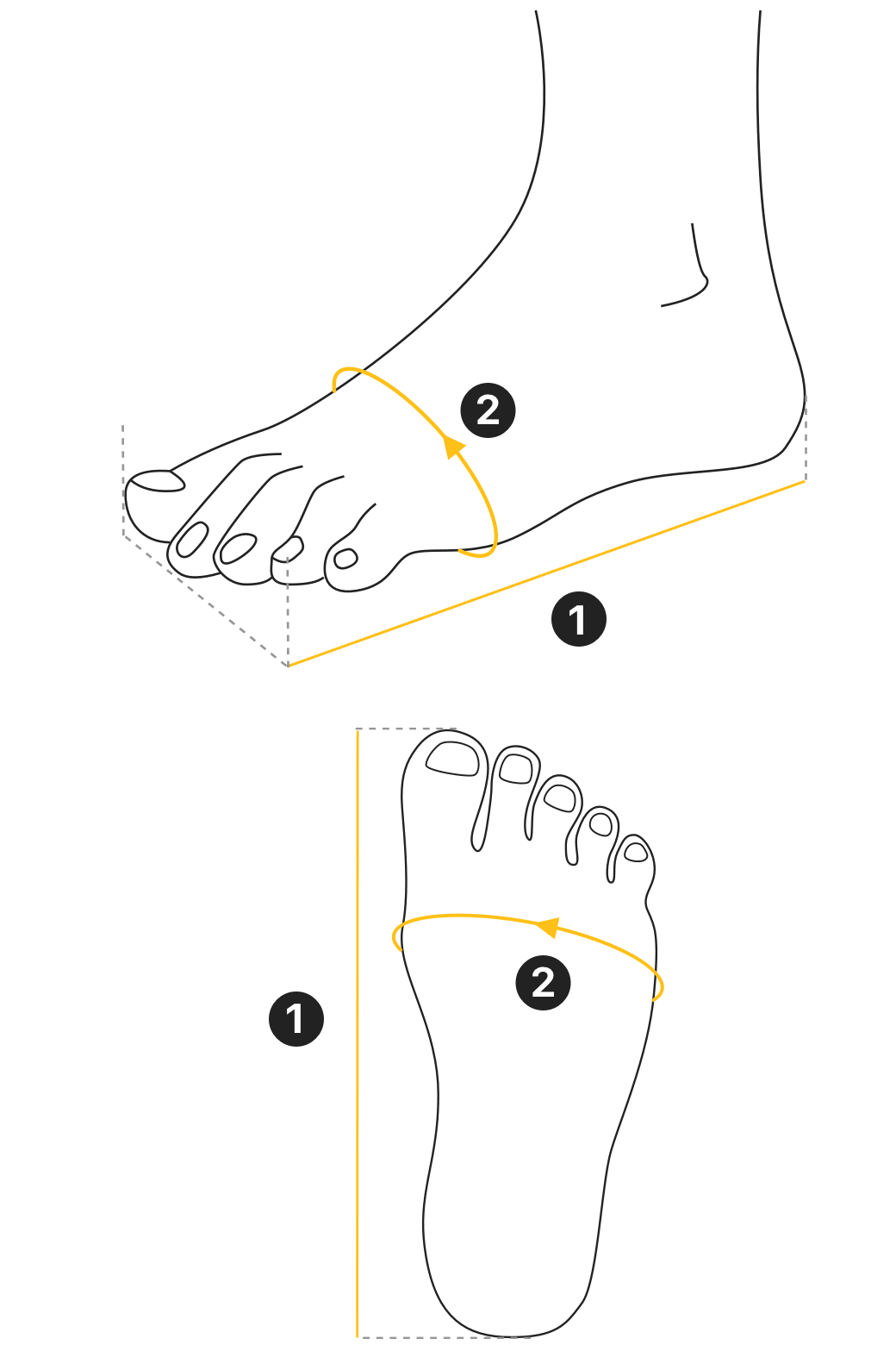 measure guide image