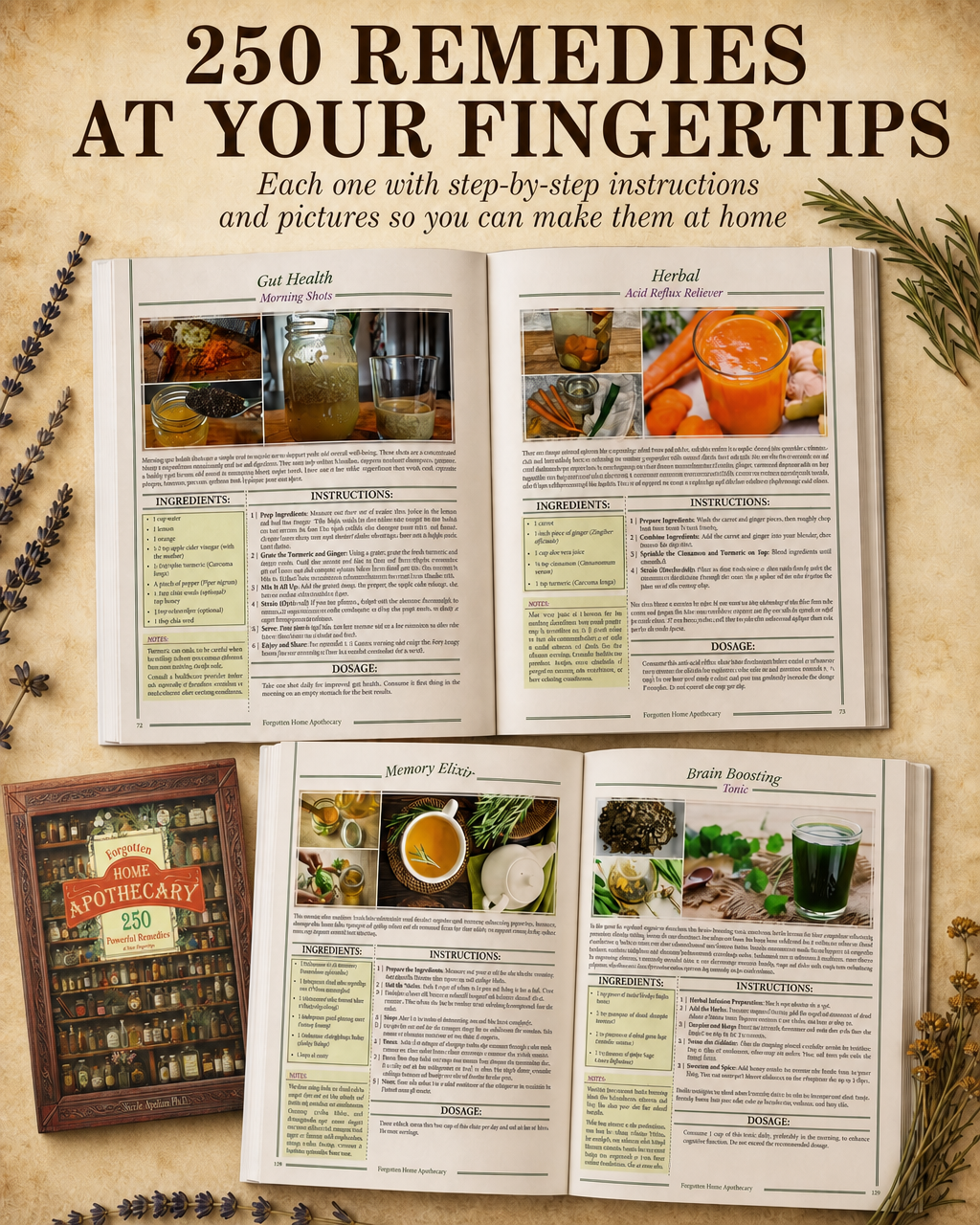 Forgotten Home Apothecary : 250 Powerful Remedies at Your Fingertips | Lost Herbal Remedies | Holistic Wellness