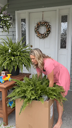 Customer unboxing large realistic artificial ferns