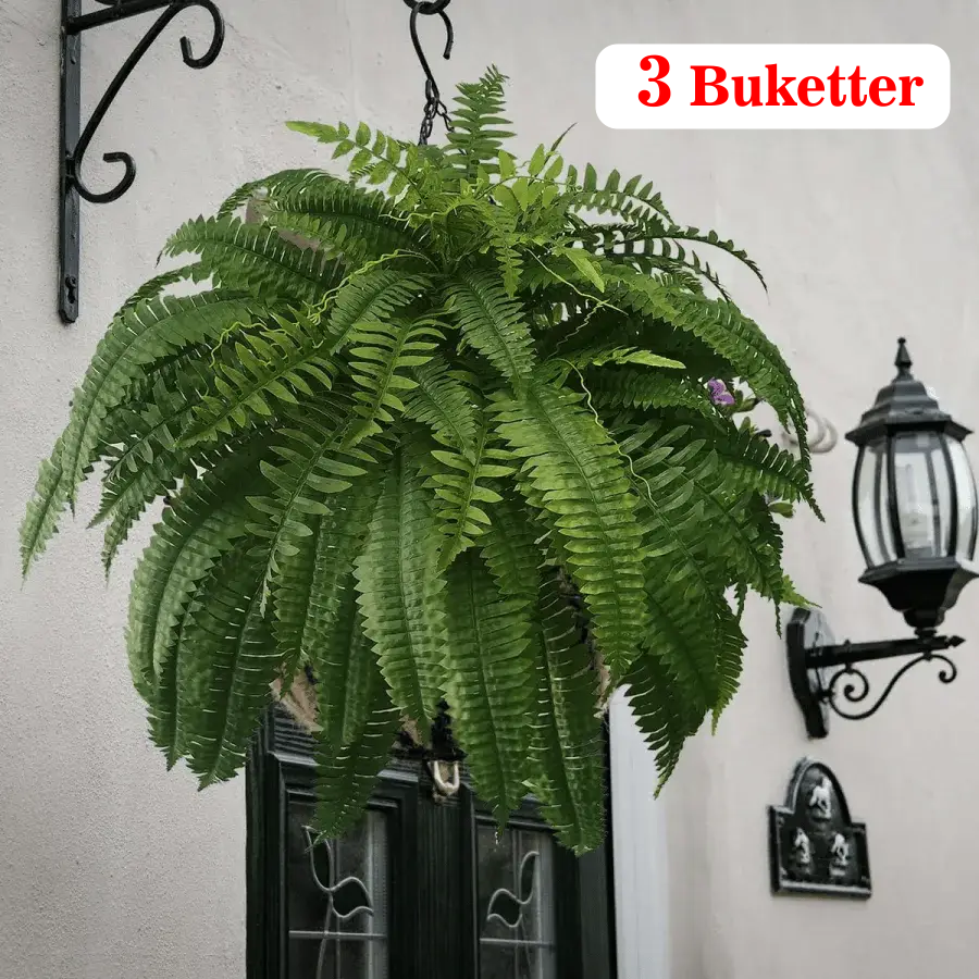 🔥UV Resistant Lifelike Artificial Boston 