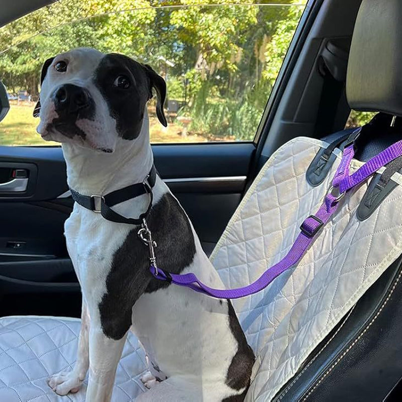 🐶🚗 🔥 Limited Time 50% OFF – 2-in-1 Dog Car Seat Belt & Walking Leash | Safe Rides, Easy Walks! ❤️‍🔥