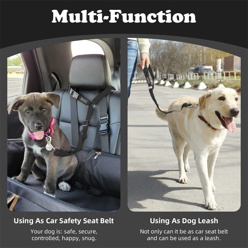 🐶🚗 🔥 Limited Time 50% OFF – 2-in-1 Dog Car Seat Belt & Walking Leash | Safe Rides, Easy Walks! ❤️‍🔥