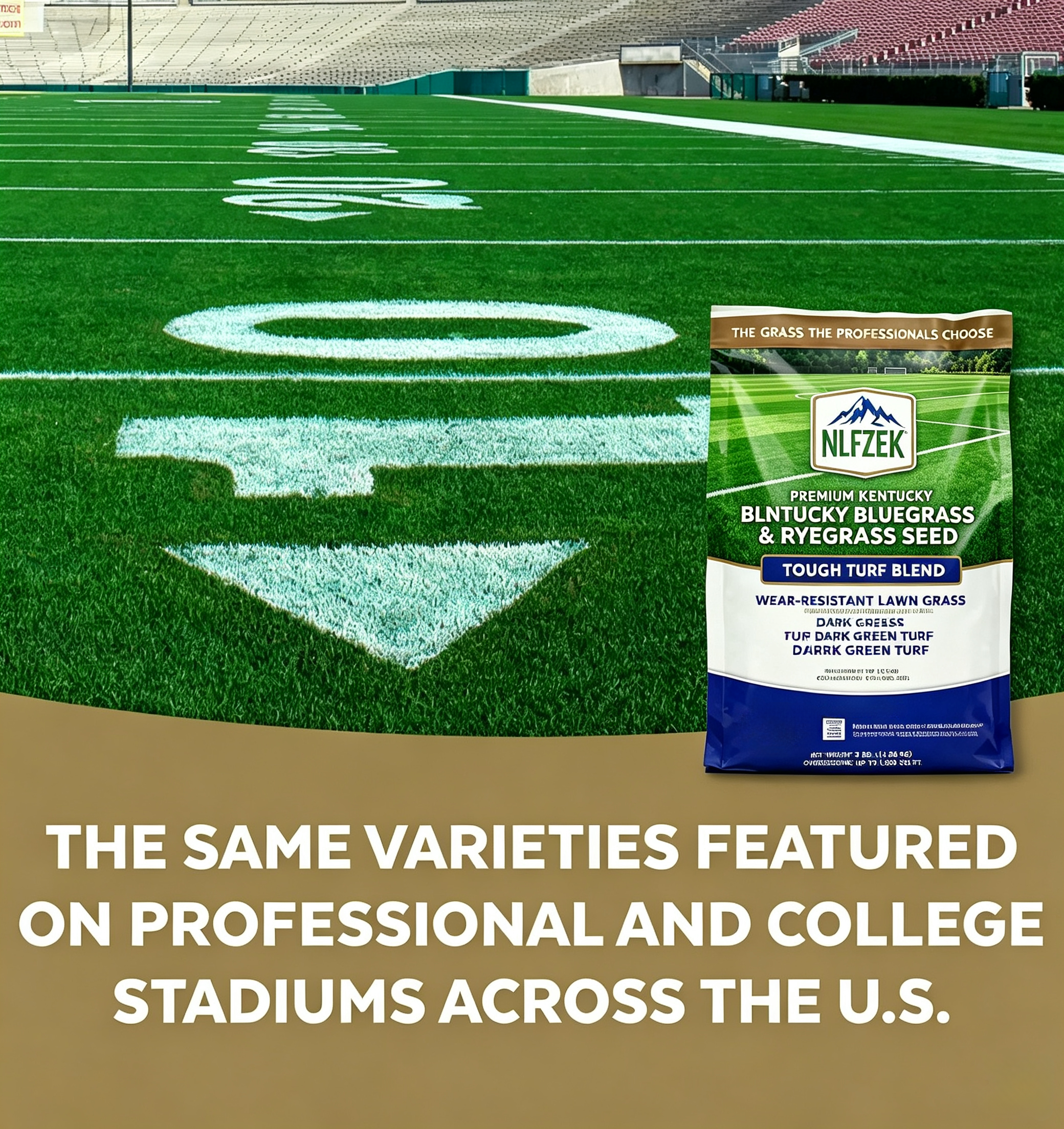 NLFZEK Premium Kentucky Bluegrass & Ryegrass Seed – Wear-Resistant Lawn Grass Seed, Dark Green Turf, Full Sun to Partial Shade