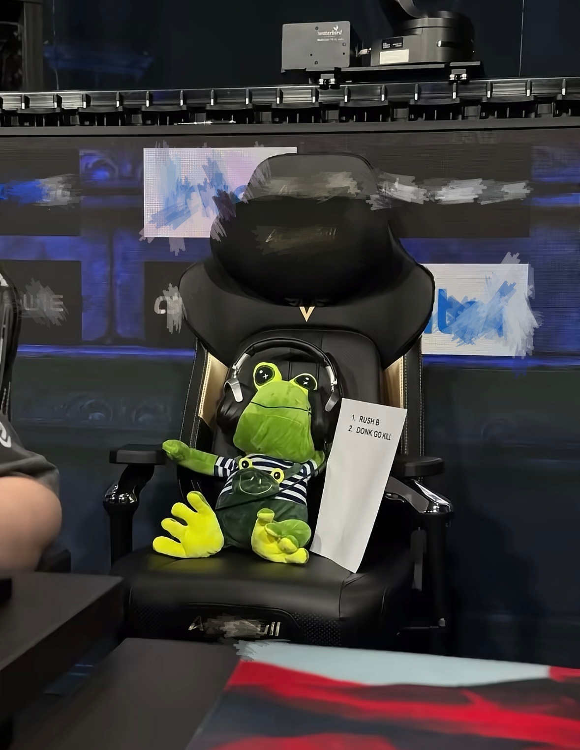 The Famous Frog Coach from CSGO Major! 🐸