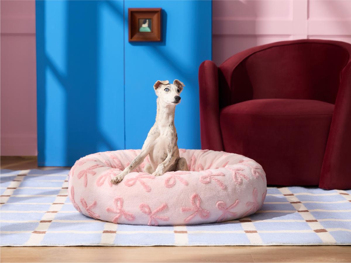 【Up to $20 off】Lesure Soft Donut Bed - Cozy Fluffy Calming Bed for Small/Medium/Large Dogs & Cats, Soft Plush Round Pet Bed for Comfort, Washable, Anti-Slip Bottom, Camas para Perros, Pet Supplies Bedding,Deals For You Days