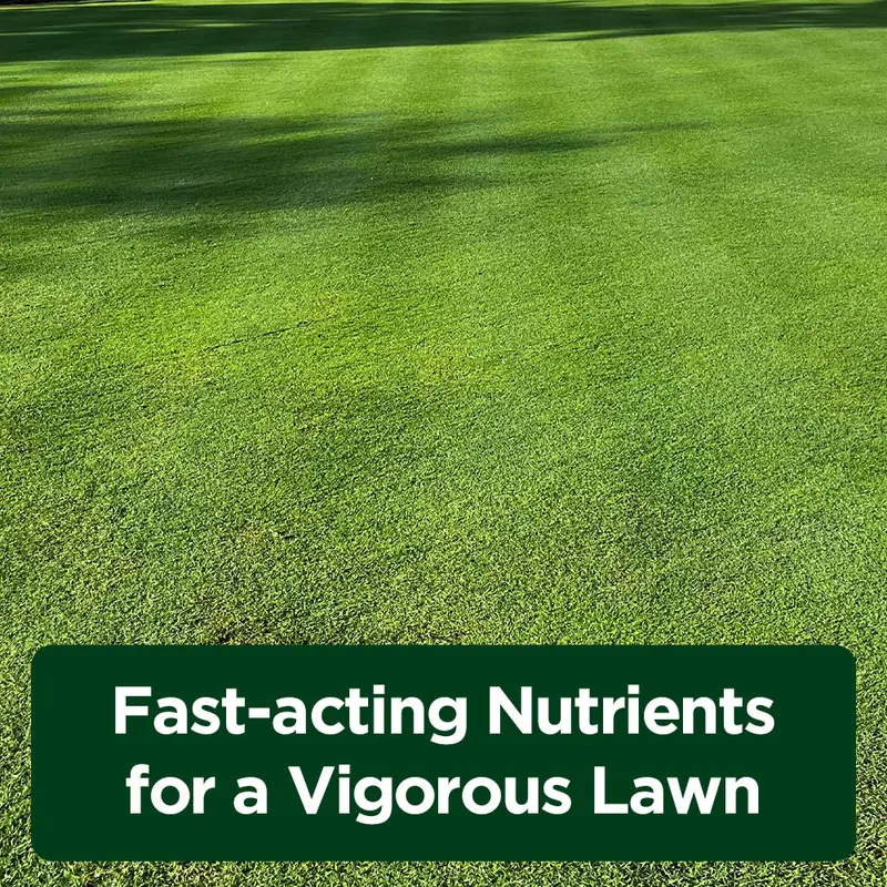NLFZEK 16-4-8 Lawn Food – Fast-Greening Liquid Fertilizer for Thicker, Healthier Grass, 32 oz