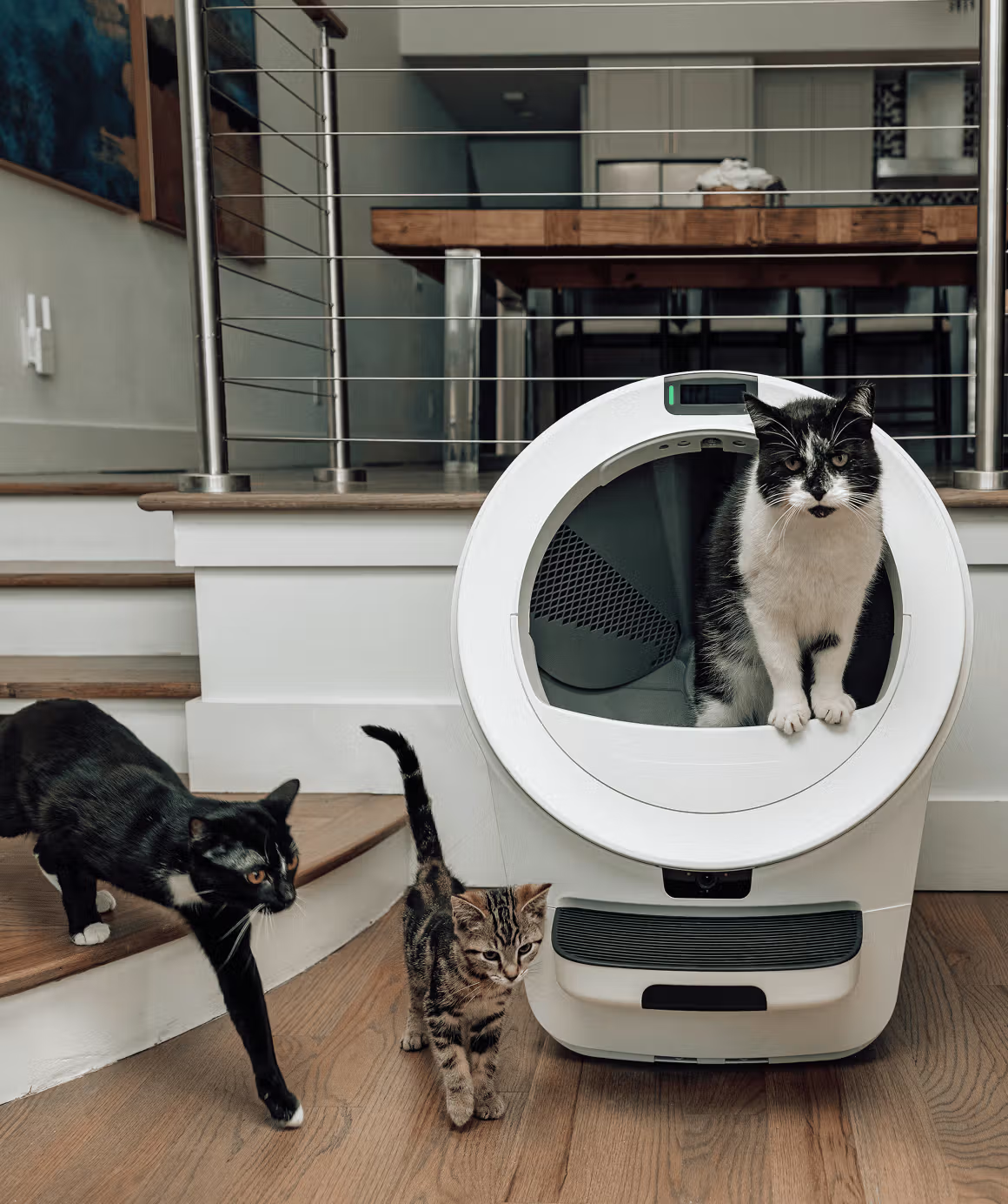 Never Scoop Again!Litter-Robot® 5 Pro AI Self-Cleaning Cat Litter Box with HD Camera, Smart Odor Control, Quiet Automatic Cleaning for Up to 5 Cats