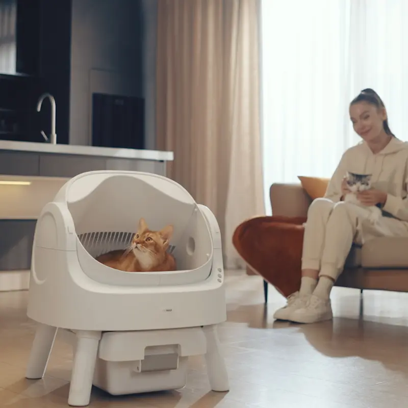 PetPivot AutoScooper 11 – Self-Cleaning Cat Litter Box with Open-Top Design & Smart Safety