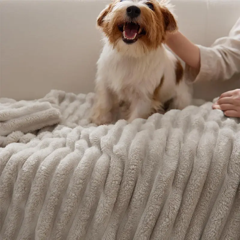 Bedsure GentleSoft Cozy Blanket – Ultra Soft Stripe Fleece Throw for Sofa, Bed & Everyday Comfort