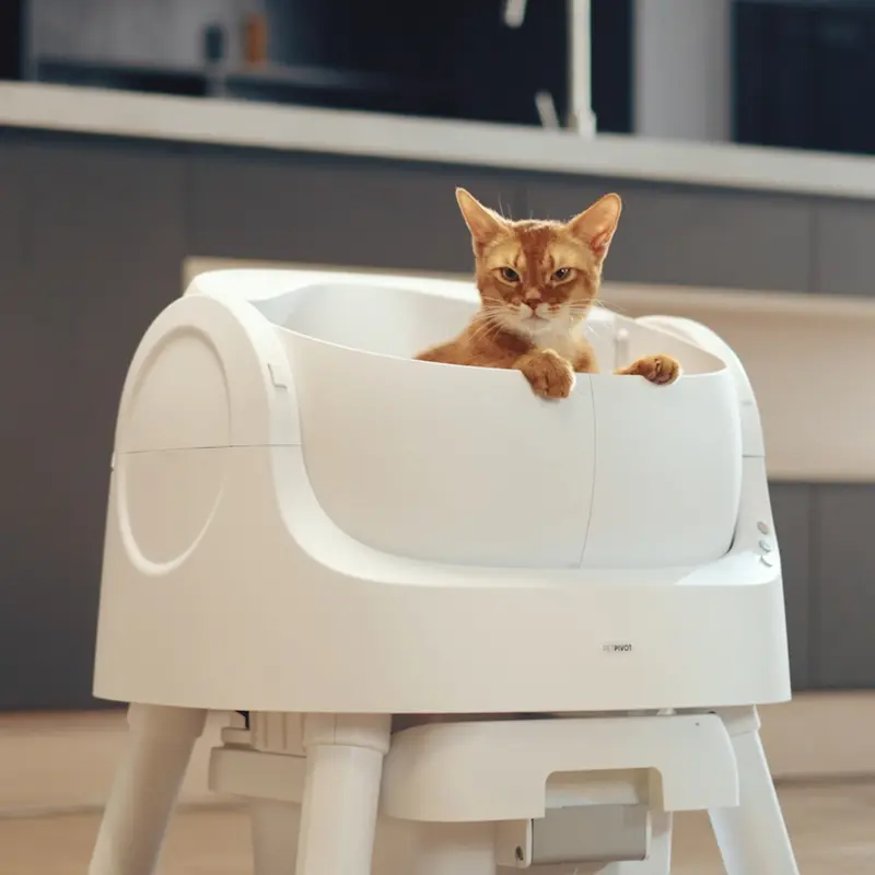 PetPivot AutoScooper 11 – Self-Cleaning Cat Litter Box with Open-Top Design & Smart Safety
