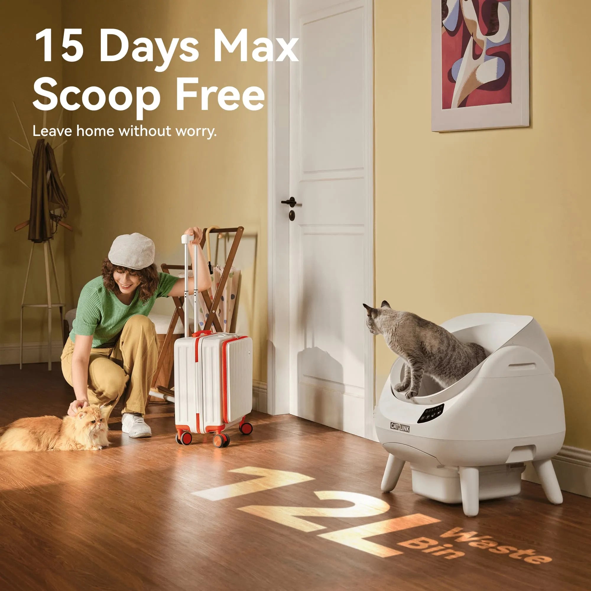 Open-Top Automatic Self-Cleaning Cat Litter Box for Multi-Cat Homes