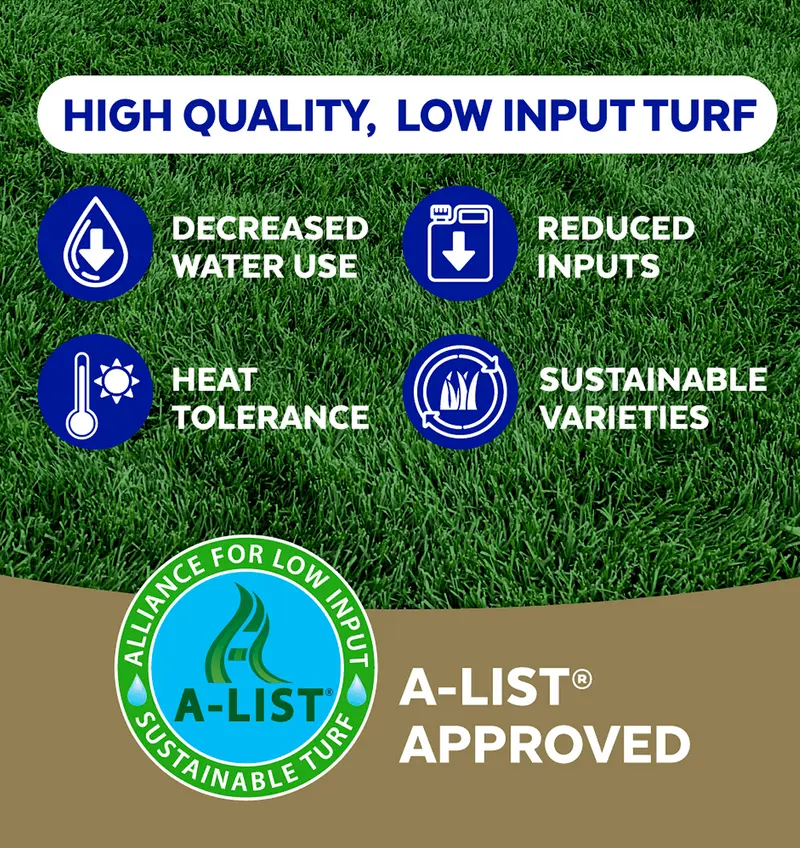 NLFZEK Premium Kentucky Bluegrass & Ryegrass Seed – Wear-Resistant Lawn Grass Seed, Dark Green Turf, Full Sun to Partial Shade