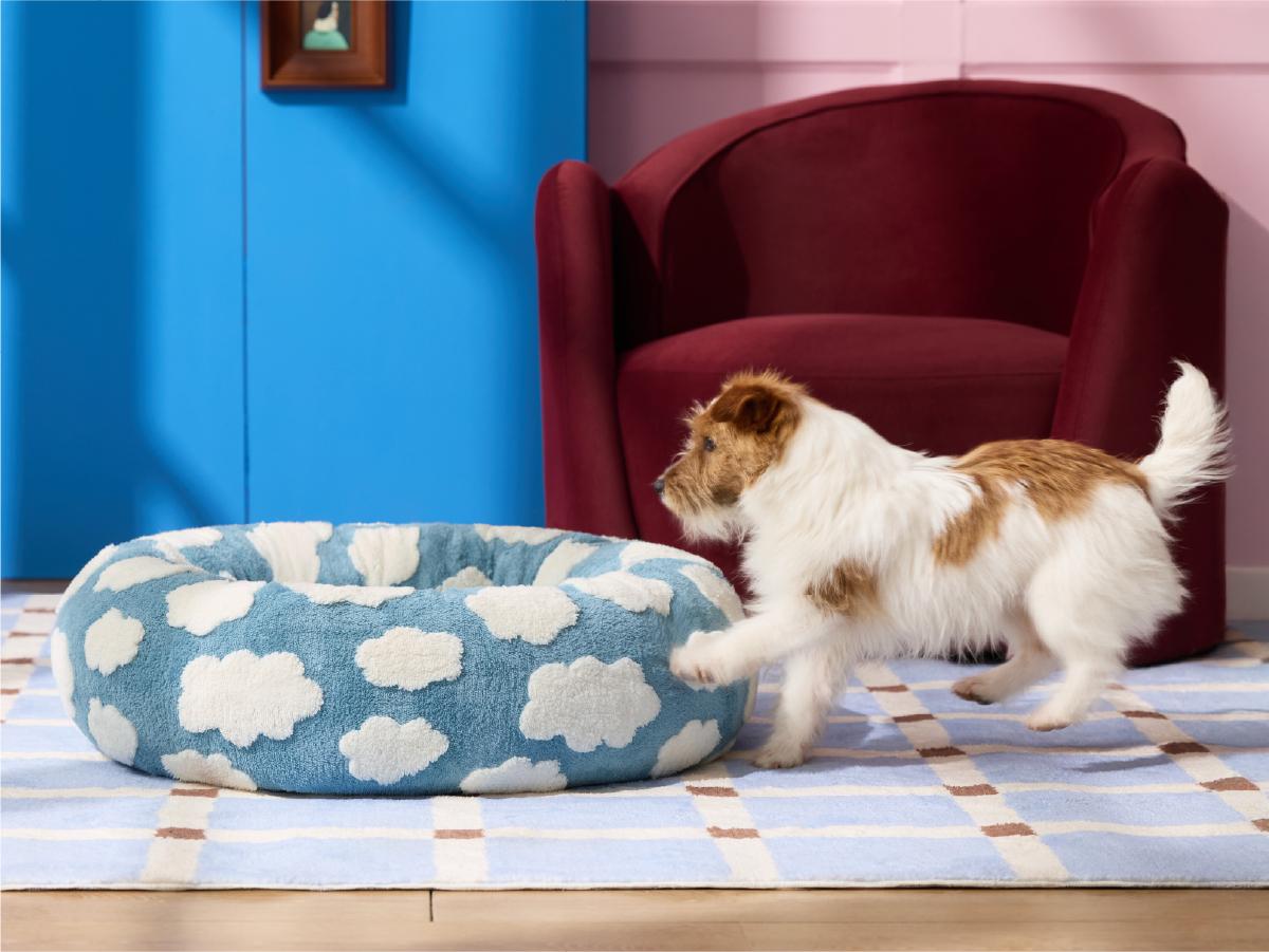 【Up to $20 off】Lesure Soft Donut Bed - Cozy Fluffy Calming Bed for Small/Medium/Large Dogs & Cats, Soft Plush Round Pet Bed for Comfort, Washable, Anti-Slip Bottom, Camas para Perros, Pet Supplies Bedding,Deals For You Days
