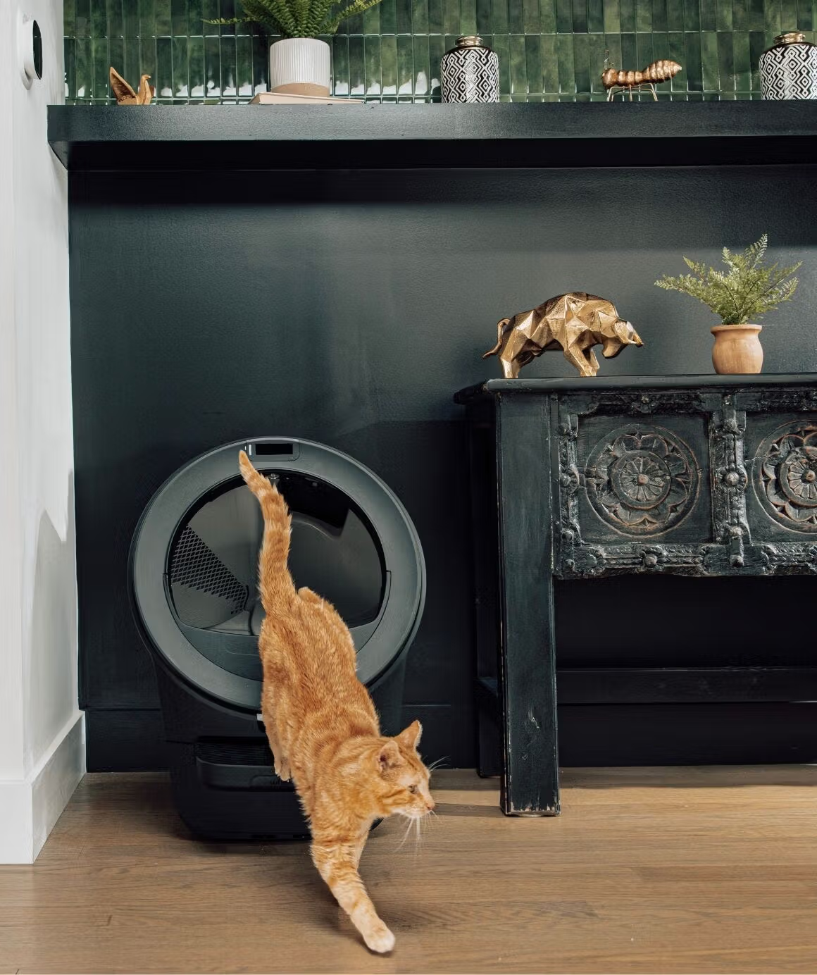 Never Scoop Again!Litter-Robot® 5 Pro AI Self-Cleaning Cat Litter Box with HD Camera, Smart Odor Control, Quiet Automatic Cleaning for Up to 5 Cats