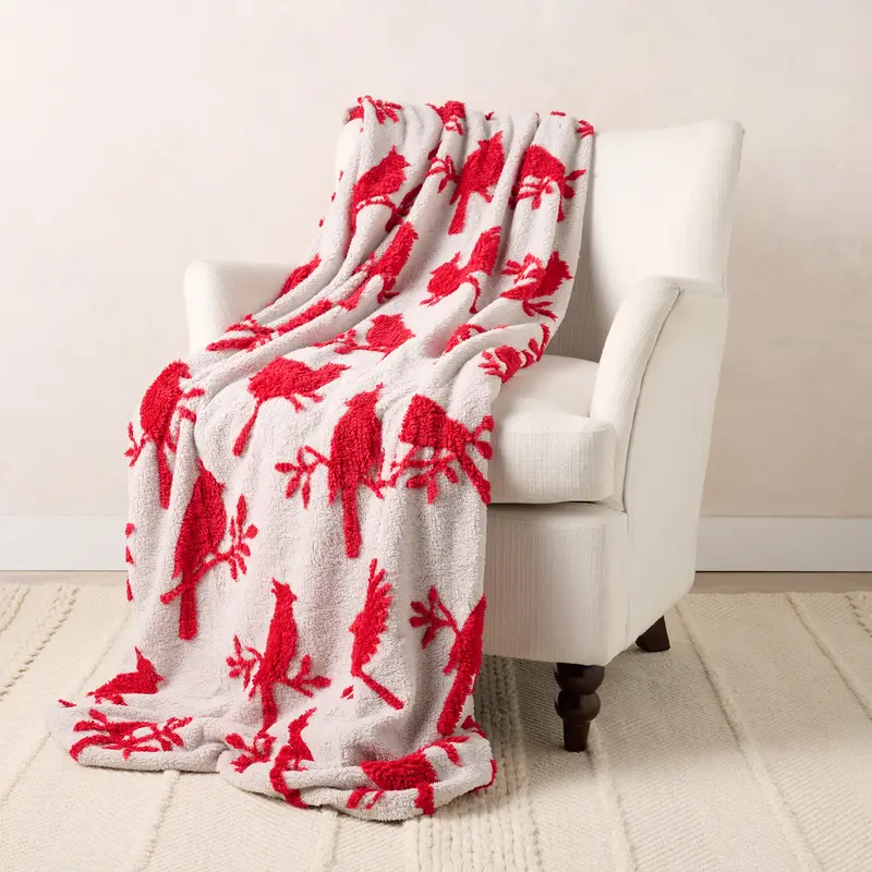 NLFZEK Reversible Plush Throw Blanket – Oversized Cozy 60x80 Blanket for Sofa, Bed & Home
