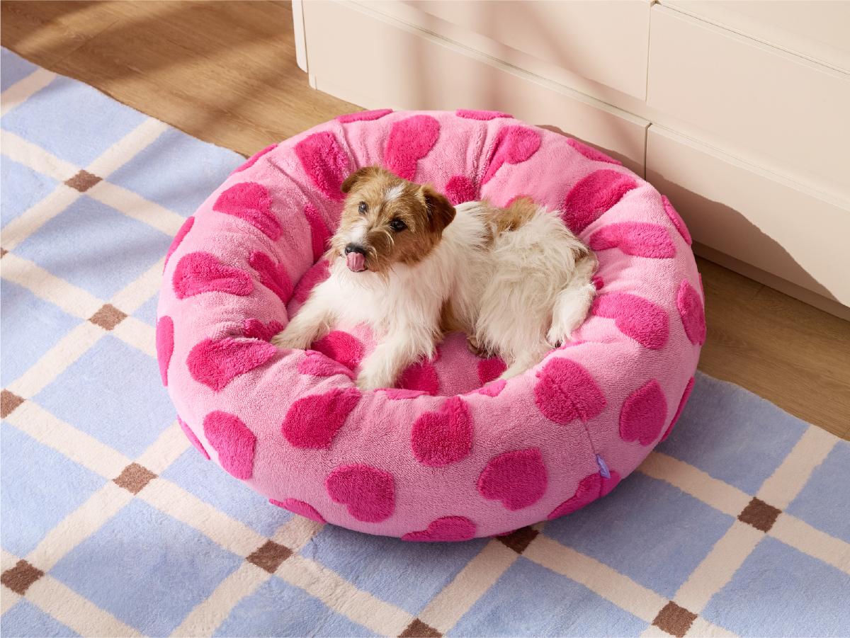【Up to $20 off】Lesure Soft Donut Bed - Cozy Fluffy Calming Bed for Small/Medium/Large Dogs & Cats, Soft Plush Round Pet Bed for Comfort, Washable, Anti-Slip Bottom, Camas para Perros, Pet Supplies Bedding,Deals For You Days