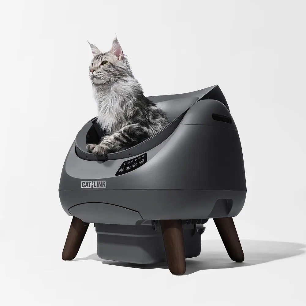 Open-Top Automatic Self-Cleaning Cat Litter Box for Multi-Cat Homes