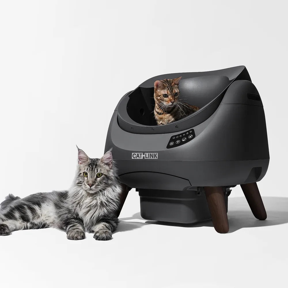 Open-Top Automatic Self-Cleaning Cat Litter Box for Multi-Cat Homes