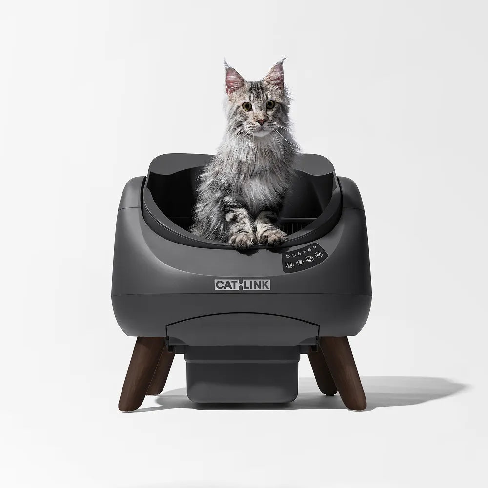 Open-Top Automatic Self-Cleaning Cat Litter Box for Multi-Cat Homes