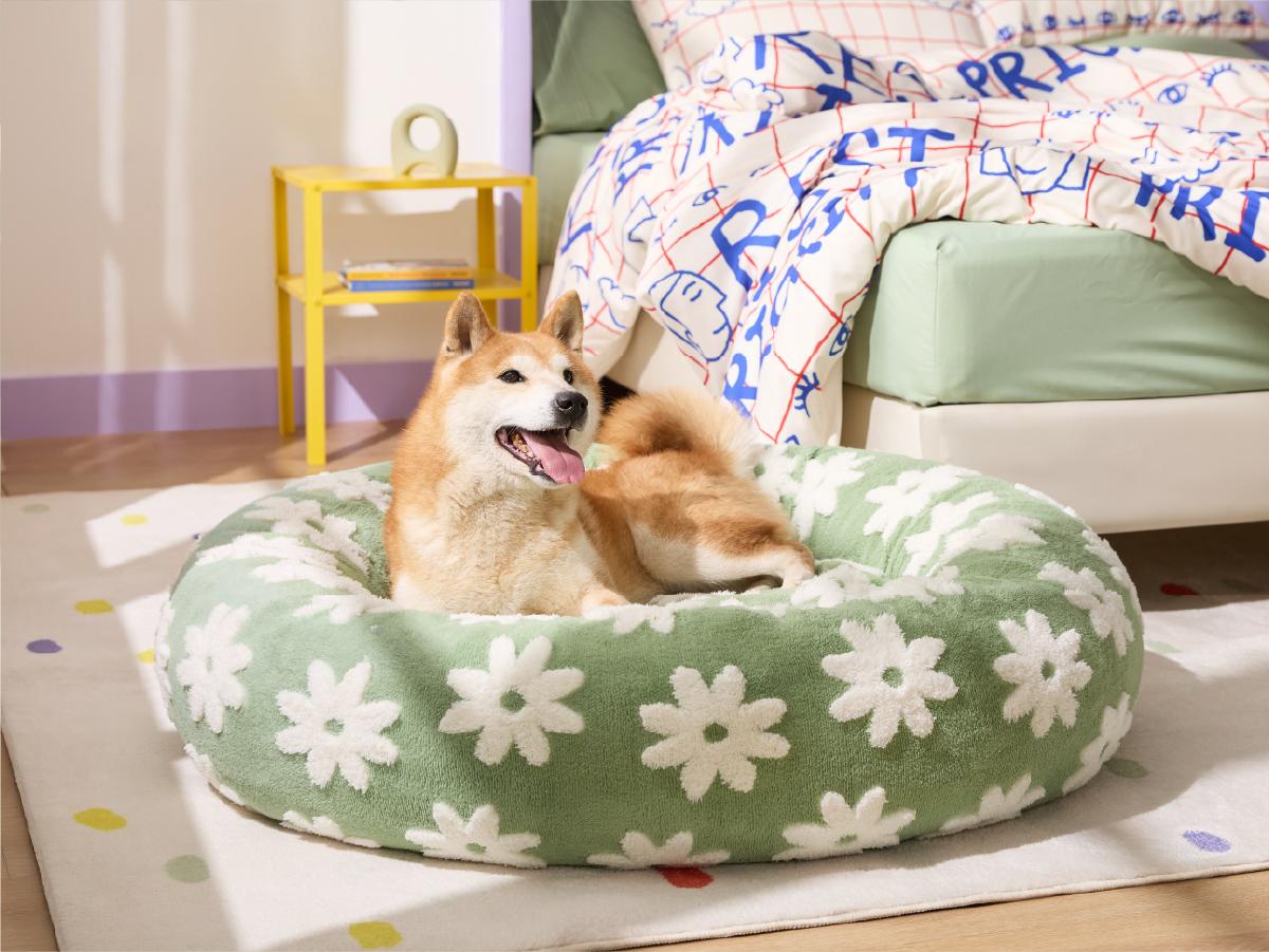 【Up to $20 off】Lesure Soft Donut Bed - Cozy Fluffy Calming Bed for Small/Medium/Large Dogs & Cats, Soft Plush Round Pet Bed for Comfort, Washable, Anti-Slip Bottom, Camas para Perros, Pet Supplies Bedding,Deals For You Days