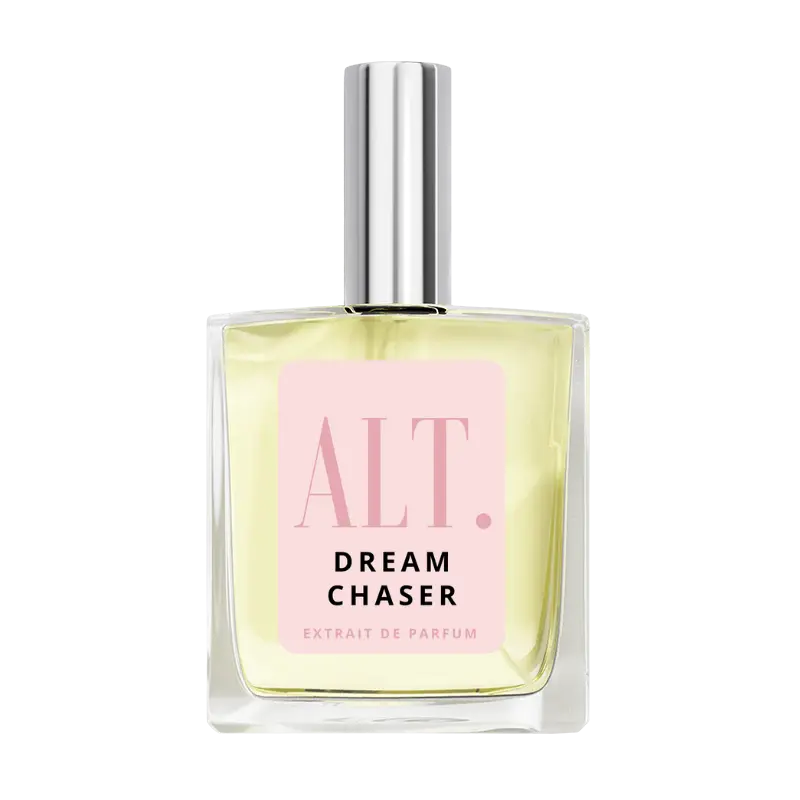 Dream Chaser