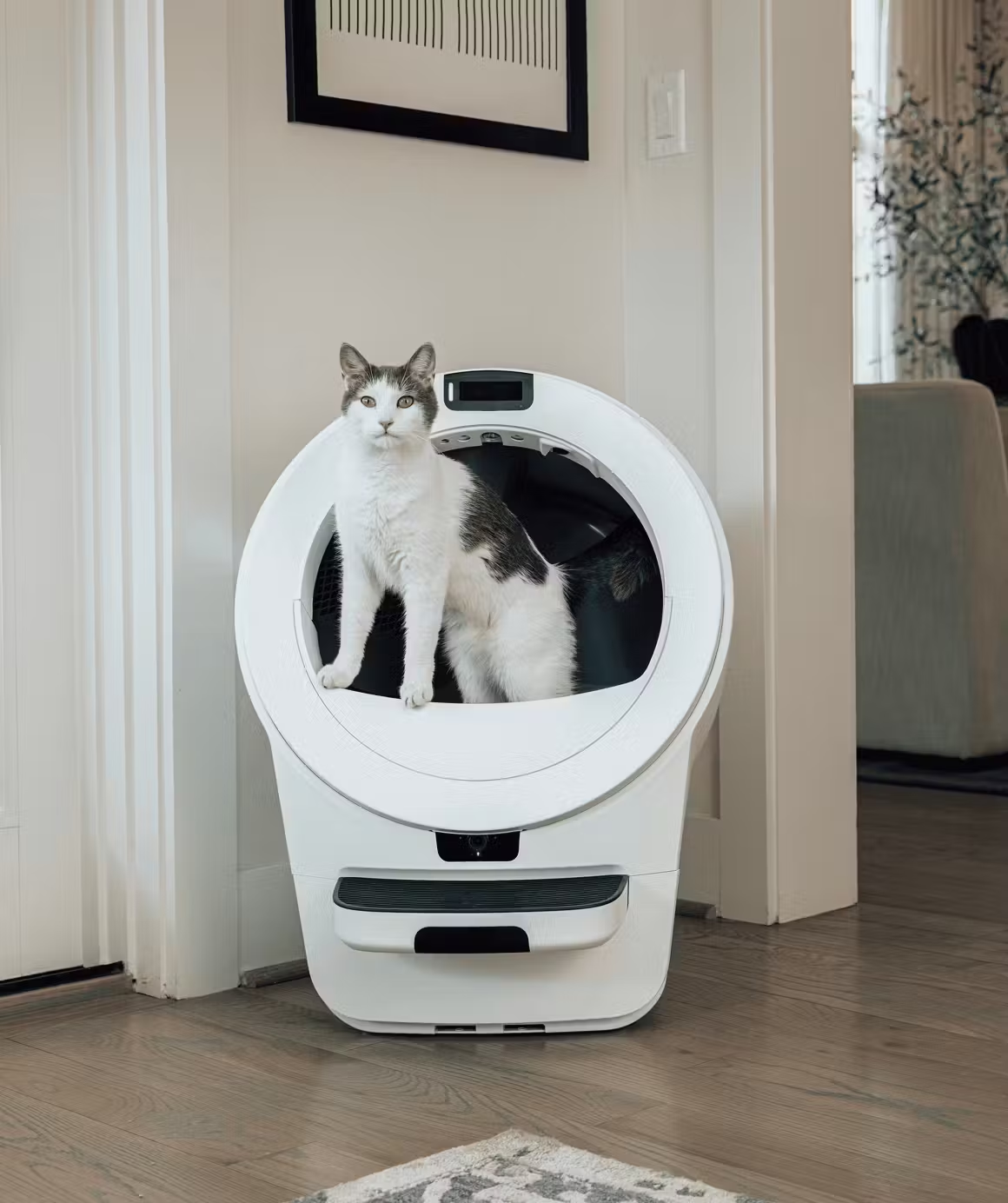 Never Scoop Again!Litter-Robot® 5 Pro AI Self-Cleaning Cat Litter Box with HD Camera, Smart Odor Control, Quiet Automatic Cleaning for Up to 5 Cats
