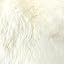 NLFZEK Extra Large Genuine Sheepskin Rug – 8-Pelt Natural Wool Rug for Living Room & Bedroom