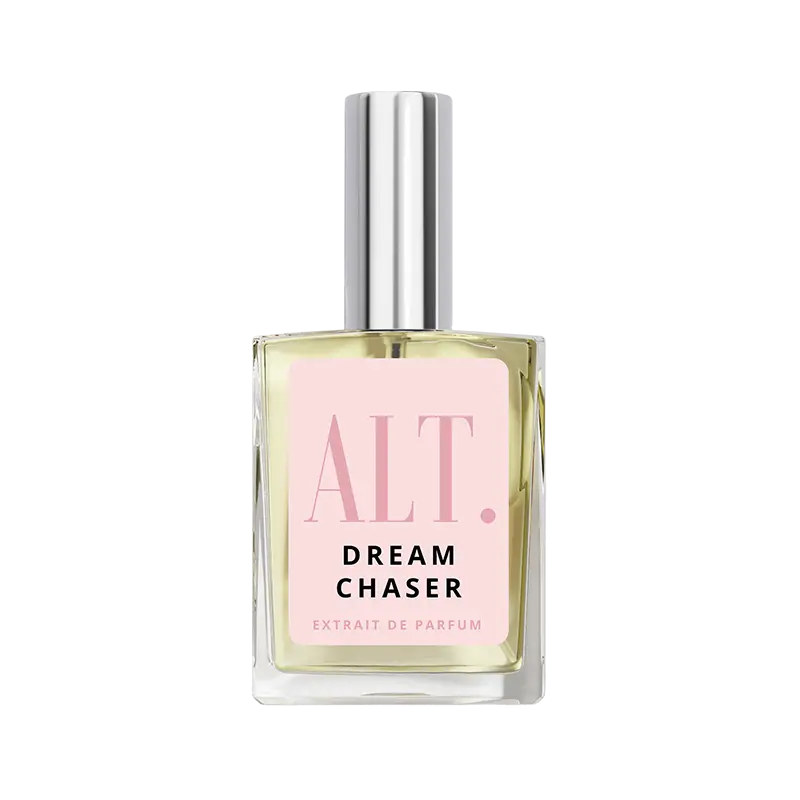Dream Chaser