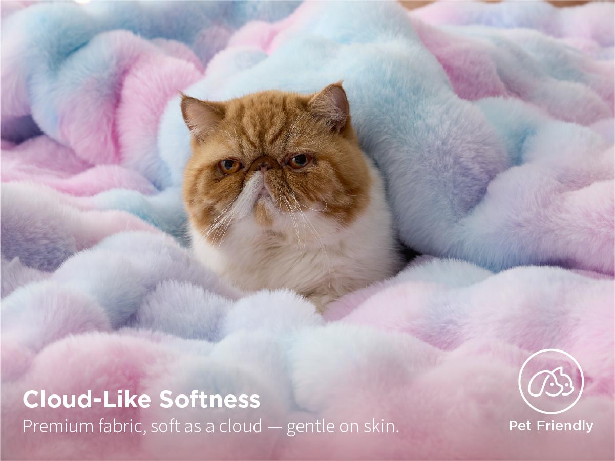 【Summer Sale Deals】Bedsure Weighted Faux Rabbit Fur , Soft Fluffy Fuzzy Cozy Plush Sherpa Fleece Blanket, Thick Warm Blanket Gifts for Women,The Blanket For Stress & Anxiety,Soft Warm ComforterComforter 【Summer Sale Deals】Bedsure Weighted Faux Rabbit Fur , Soft Fluffy Fuzzy Cozy Plush Sherpa Fleece Blanket, Thick Warm Blanket Gifts for Women,The Blanket For Stress & Anxiety,Soft Warm ComforterComforter