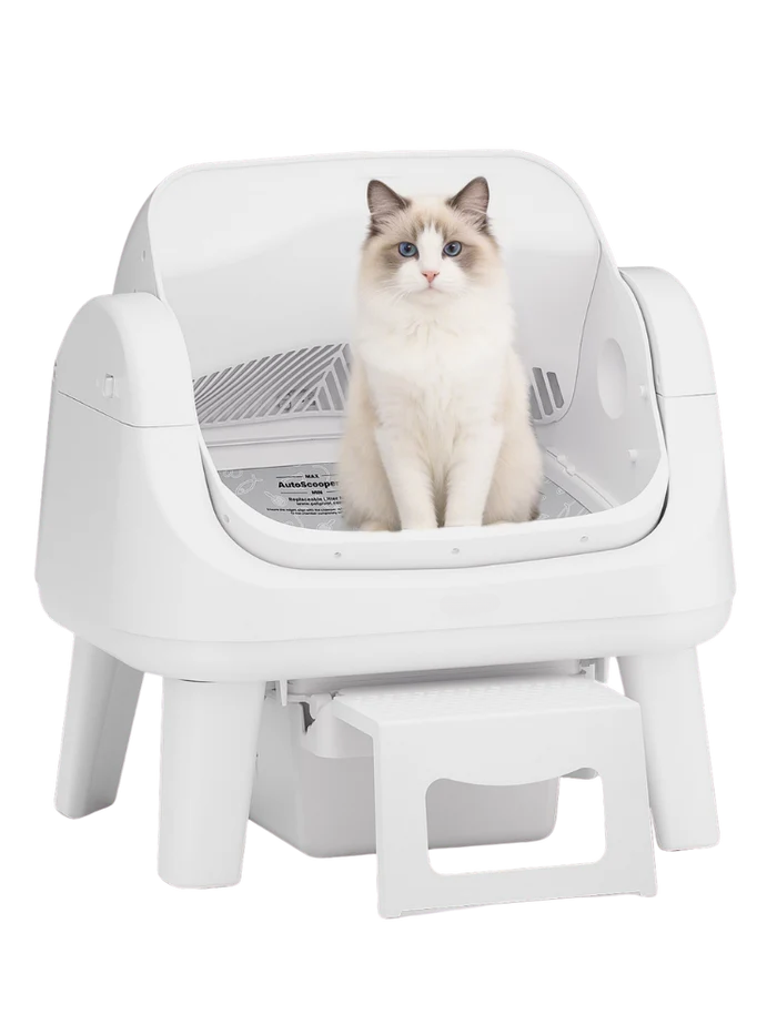 Automatic Self-Cleaning Cat Litter Box – Open-Top Design, Easy-Entry Step & No App Needed