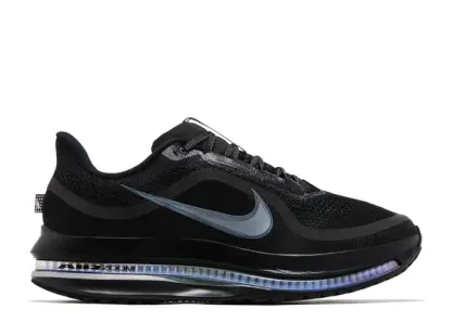 Nike Pegasus Premium Black Metallic Silver