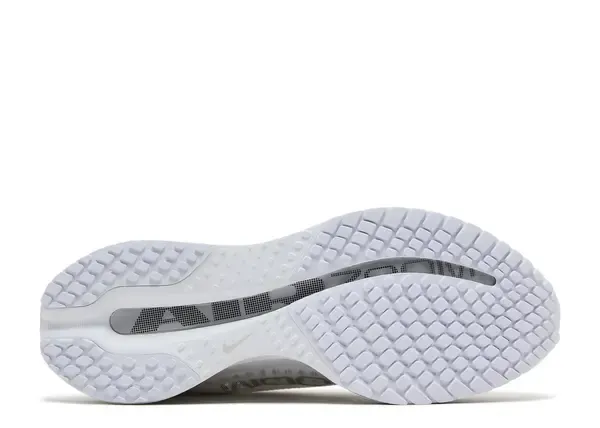 Nike Pegasus Premium White Metallic Silver