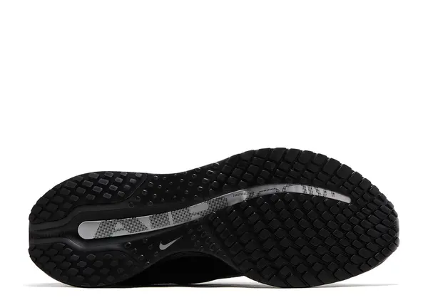 Nike Pegasus Premium Black Metallic Silver