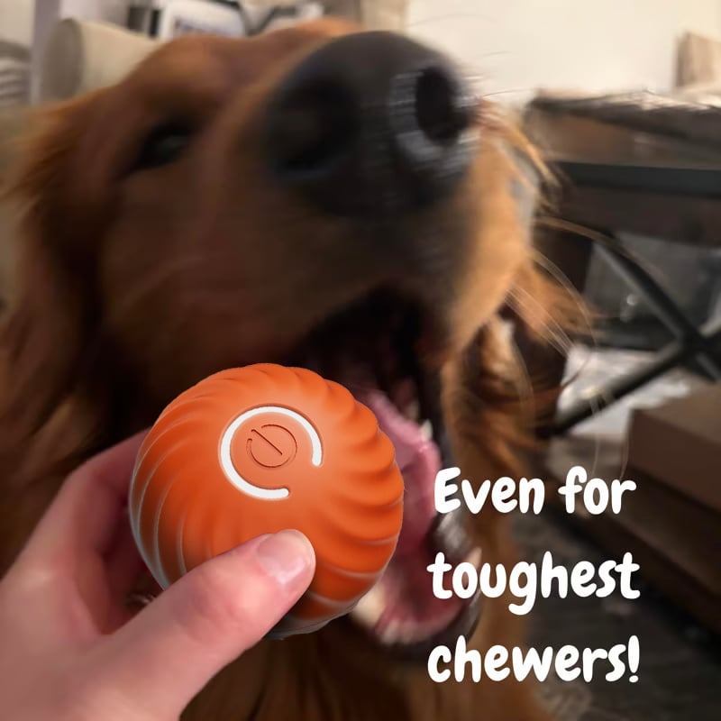 Last Day Flash Sale-57% OFF🔥Chewie Viral Bouncing Ball
