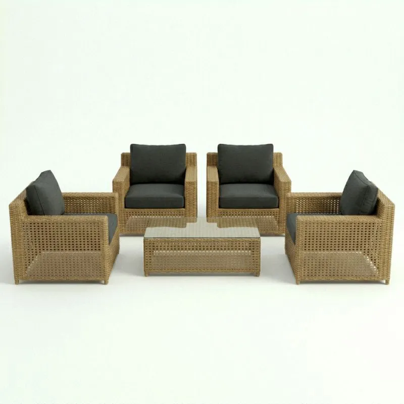 Conjunto de Muebles de Jardín 5 Piezas Mimbre y Cojines Gris-seltrivaria