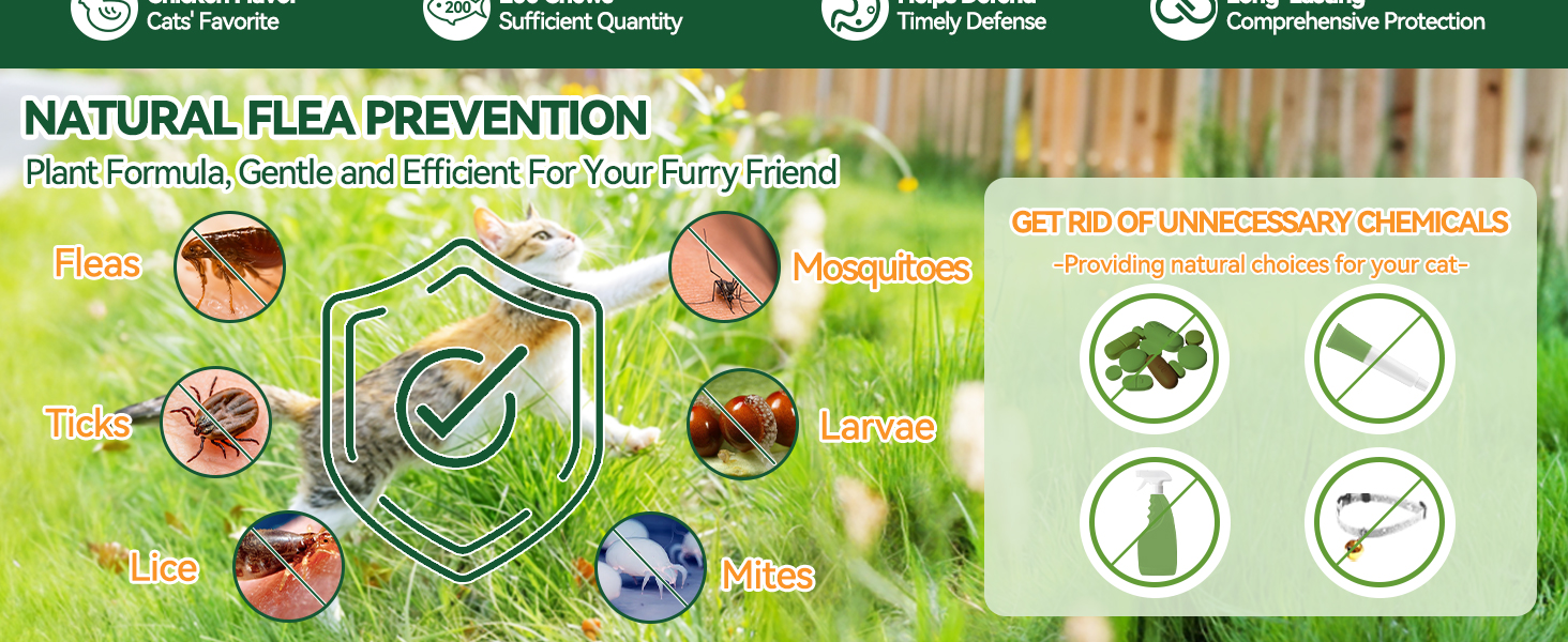 cats flea and tick treatments