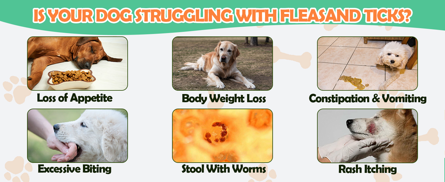  fleas and ticks 
