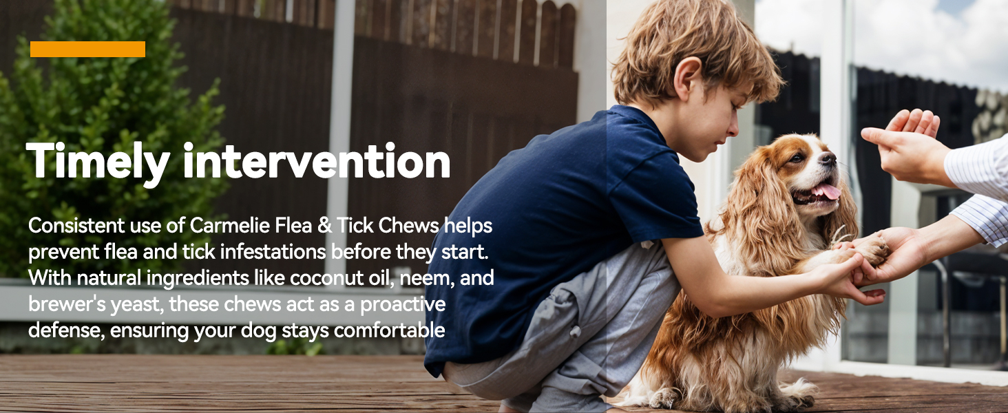 tick medicine for dogs