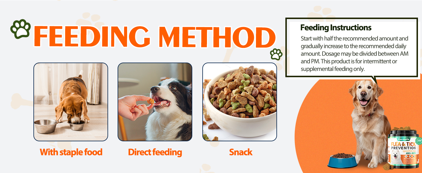 flea and tick prevention for dogs