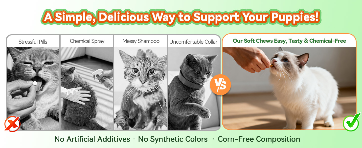Flea and Tick Chews for Cats