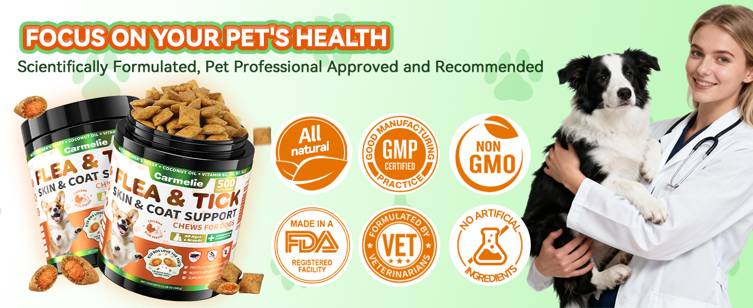 dog flea and tick treatment