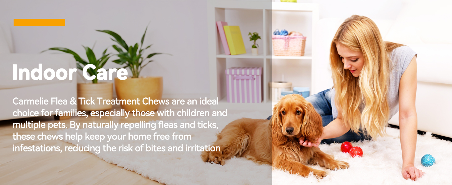 dog flea &amp; tick control