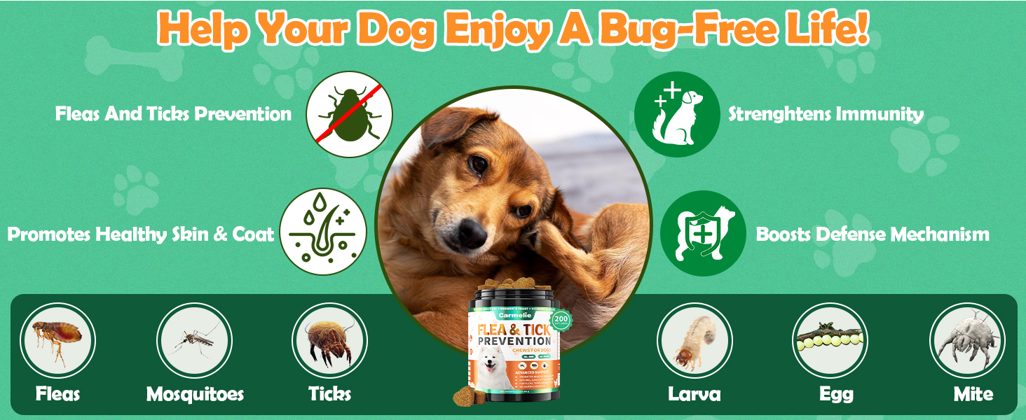 dog flea treatment