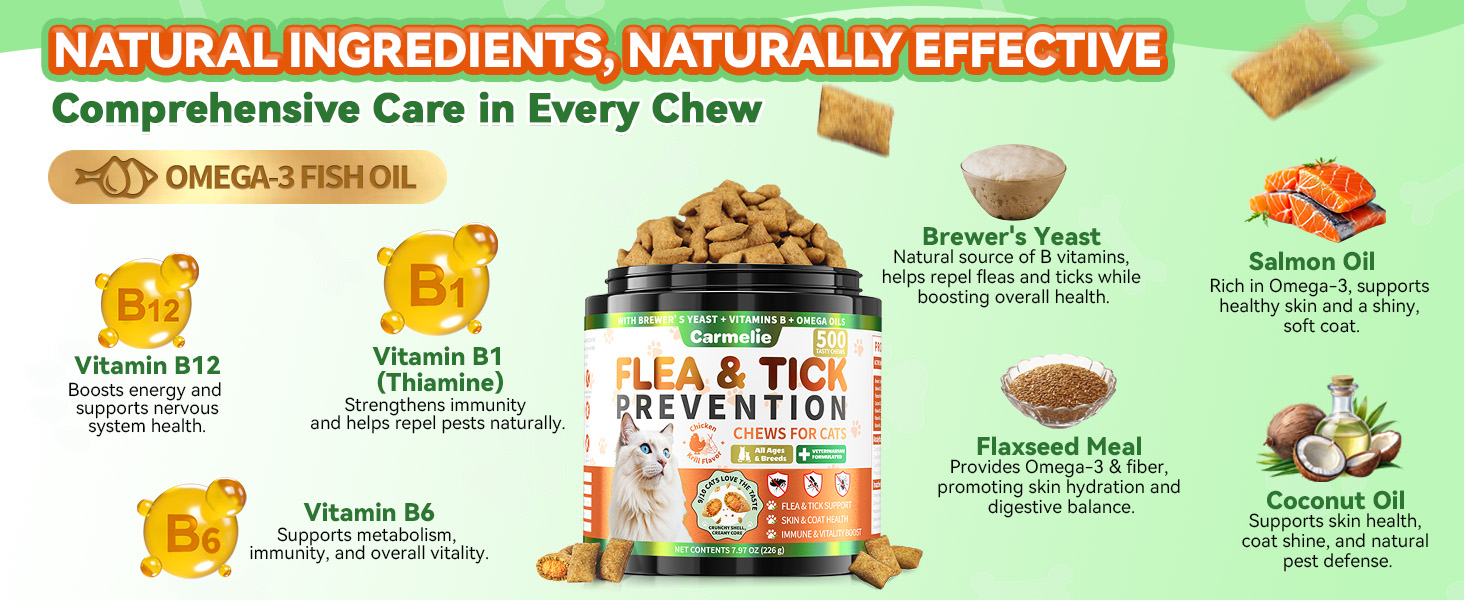 Cat Flea Treatment