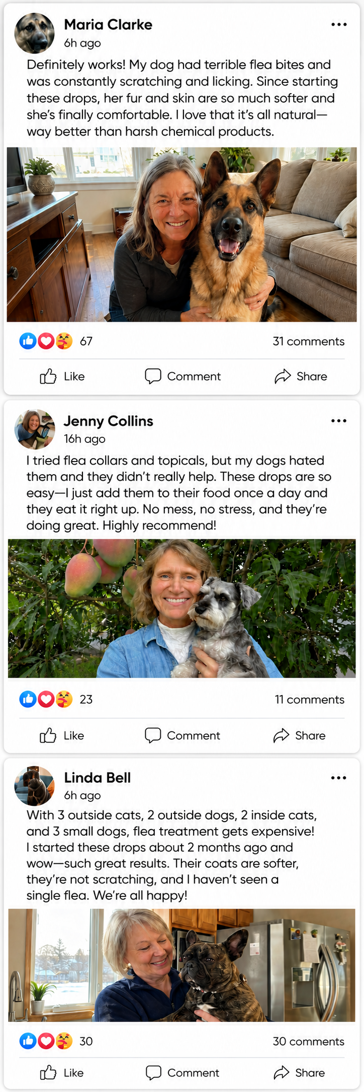 Dog Parents Reviews Mobile
